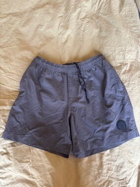 Men's chubbies 5.5 Shorts in Slate Gray